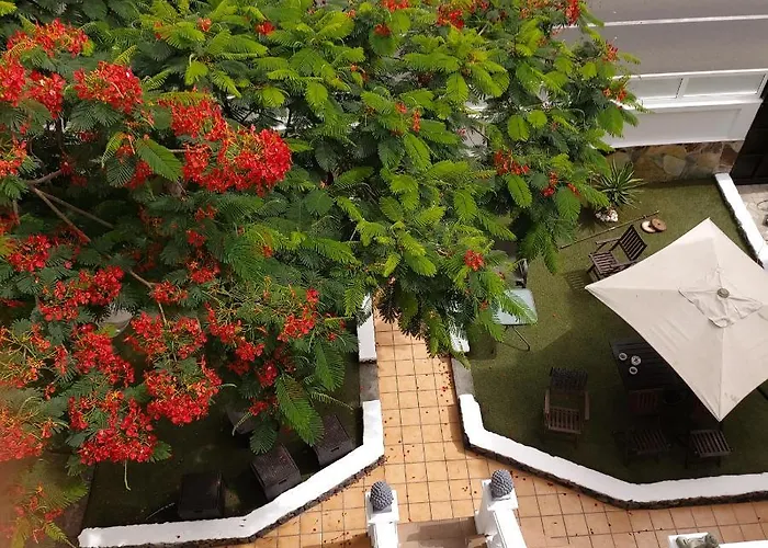 Albergue Garden&relax Corralejo