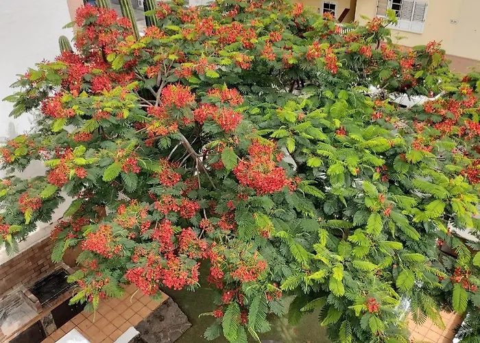 Garden&relax * Corralejo